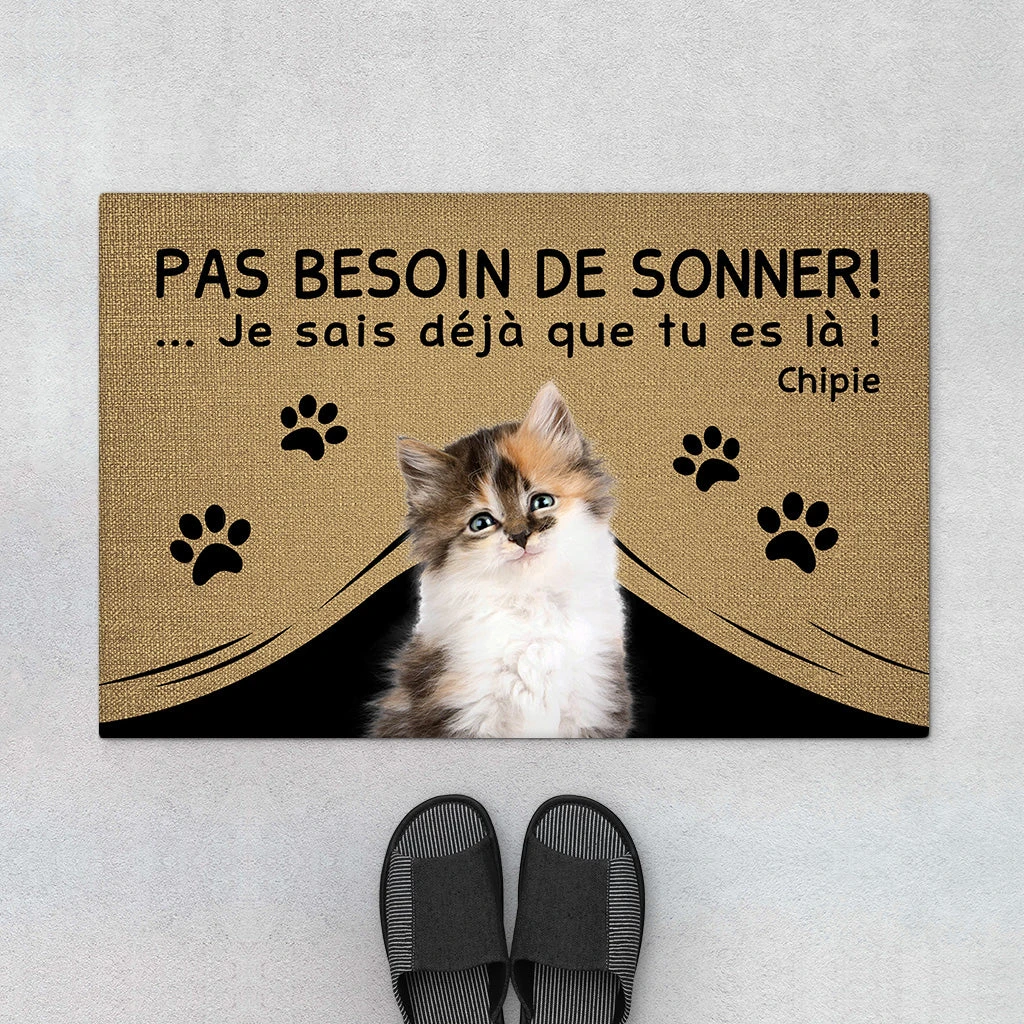 Paillasson Personnalisé Chat - Pas Besoin De Sonner 3 Paillasson Personnalisé Chat - Pas Besoin De Sonner