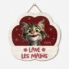 Plaque En Bois Personnalisée À Suspendre Avec Chat - Lave Tes Pattes