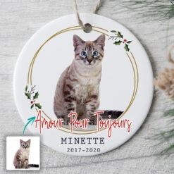 Ornement Amour Pour Toujours Amoureux Des Chats Personnalisé