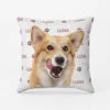 Photo De Chien Avec Nom Et Empreintes - Coussin Chien Personnalisable -Cadeau Plus fr1 30c3e0aa 1945 4a2c 9ff5 e71ba12f4636